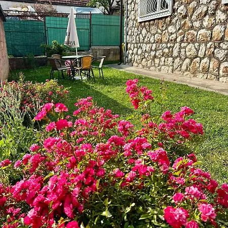 Apartman Norci