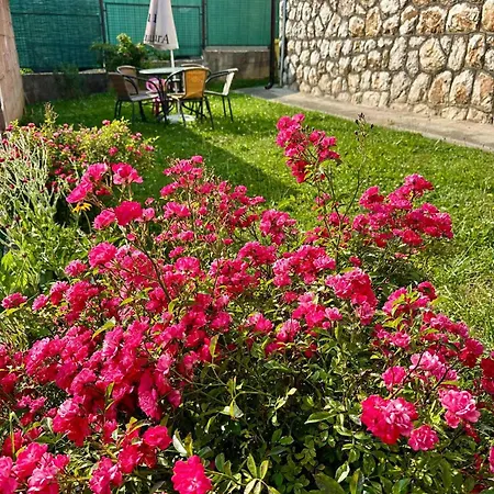 Norci Apartman
